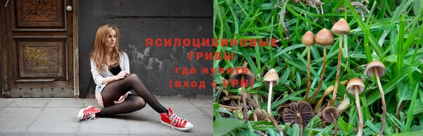 ешки Алексеевка