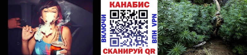 МАРИХУАНА SATIVA & INDICA как найти Ликино-Дулёво
